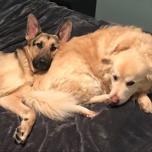 Meet your Posher, KM